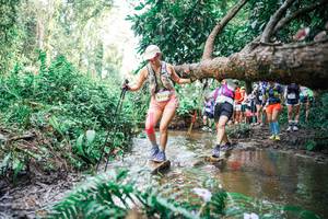 BIB: 
                            <button type="button" onclick="openModal(25516350)" class="btn btn-primary btn-sm float-right btn-popup" data-toggle="modal" data-target=".modal-high-quality">
                        <i class="fas fa-shopping-cart"></i> Add to Cart
                    </button>
                                            <button type="button" onclick="isThisMe(25516350, true)" class="btn btn-success btn-sm float-right btn-popup btn-isme hidden" data-toggle="tooltip" data-placement="bottom" title="นี่คือรูปของคุณใช่ไหม คลิกที่นี่เพื่อเอาเข้าอัลบั้ม">
                        <i class="fas fa-plus"></i> Add to album
                    </button>
                    <button type="button" onclick="isThisMe(25516350, false)" class="btn btn-warning btn-sm float-right btn-popup btn-isnotme hidden">
                        <i class="fas fa-ban"></i> Remove from album
                    </button>